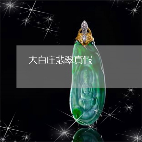 大白庄翡翠真假/2023040440491