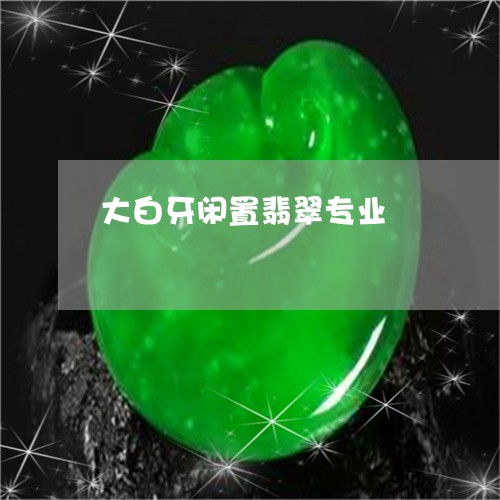 大白牙闲置翡翠专业/2023042285047