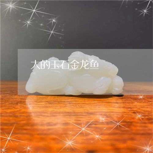 大的玉石金龙鱼/2023040476182