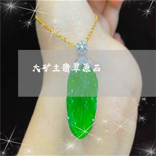 大矿主翡翠原石/2023040464614 大矿主翡翠原石/2023040464614