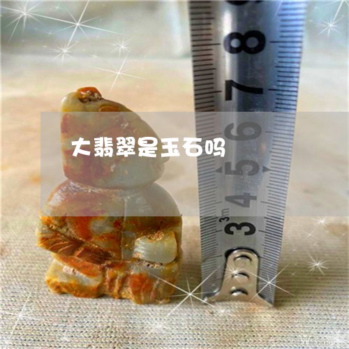 大翡翠是玉石吗/2023040463595 大翡翠是玉石吗/2023040463595