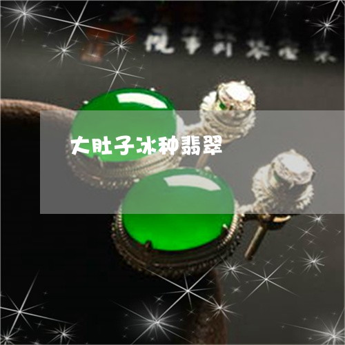 大肚子冰种翡翠/2023040483893