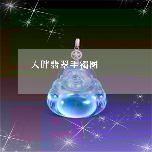 大胖翡翠手镯图/2023040427359