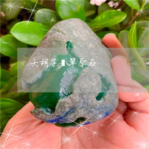 大胡子翡翠原石/2023040450471