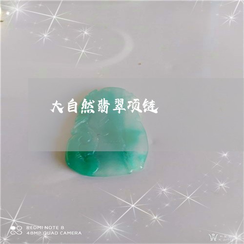 大自然翡翠项链/2023040451470 大自然翡翠项链/2023040451470