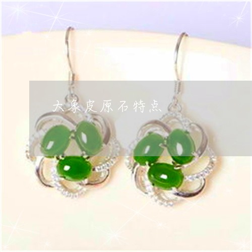 大象皮原石特点/2023040428240 大象皮原石特点/2023040428240