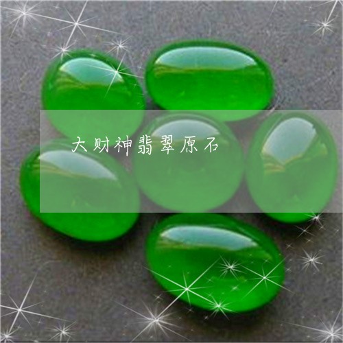 大财神翡翠原石/2023040473816 大财神翡翠原石/2023040473816