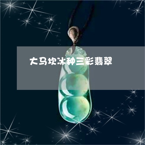 大马坎冰种三彩翡翠/2023042337150 大马坎冰种三彩翡翠/2023042337150