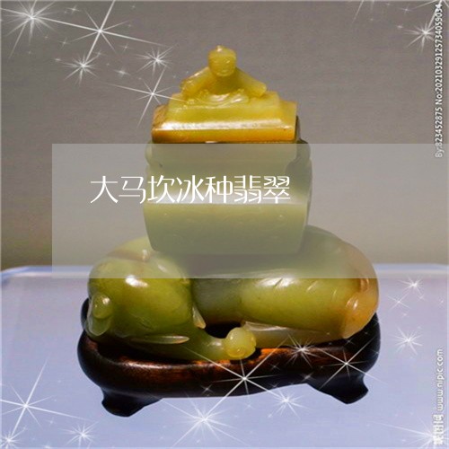 大马坎冰种翡翠/2023040409280