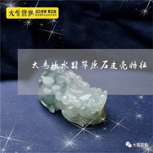 大马坎水翡翠原石皮壳特征/2023061965060
