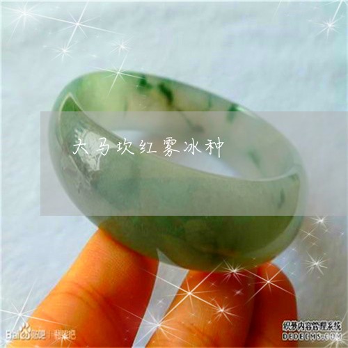 大马坎红雾冰种/2023040472907 大马坎红雾冰种/2023040472907