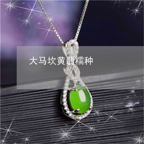 大马坎黄翡糯种/2023040429471 大马坎黄翡糯种/2023040429471