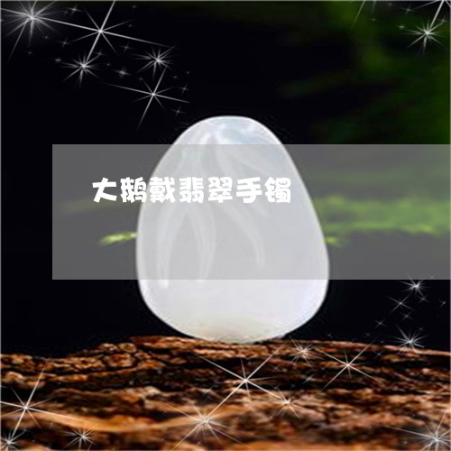 大鹅戴翡翠手镯/2023040439481 大鹅戴翡翠手镯/2023040439481