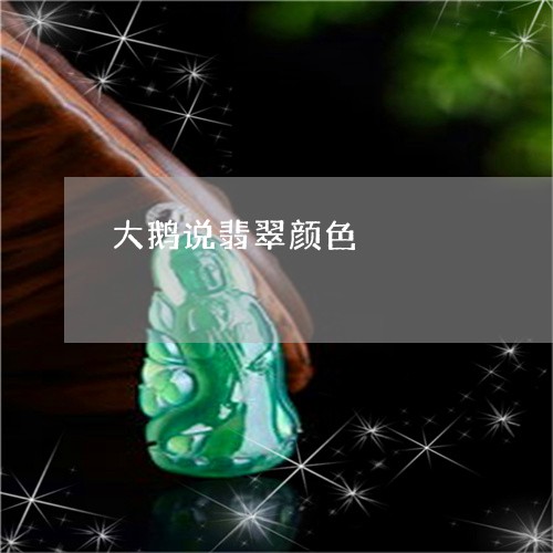 大鹅说翡翠颜色/2023040465916