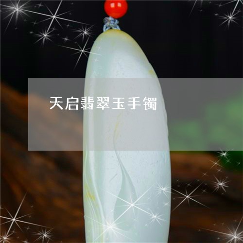 天启翡翠玉手镯/2023040472893 天启翡翠玉手镯/2023040472893