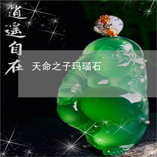 天命之子玛瑙石/2023040495817 天命之子玛瑙石/2023040495817