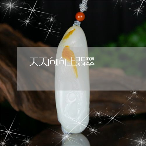 天天向向上翡翠/2023040497946 天天向向上翡翠/2023040497946