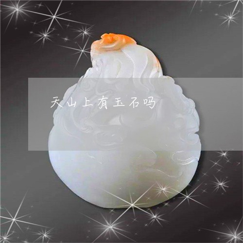 天山上有玉石吗/2023040430583 天山上有玉石吗/2023040430583