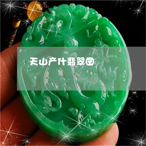天山产什翡翠图/2023040472503 天山产什翡翠图/2023040472503