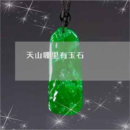 天山哪里有玉石/2023040401693 天山哪里有玉石/2023040401693