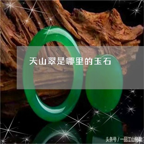 天山翠是哪里的玉石/2023042137395