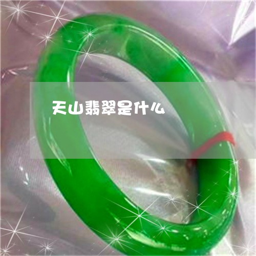 天山翡翠是什么/2023040441382