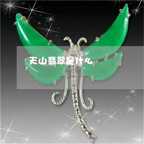 天山翡翠是什么/2023040463515
