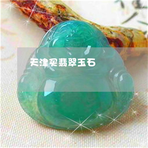 天津买翡翠玉石/2023040463917 天津买翡翠玉石/2023040463917