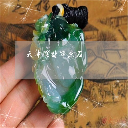天津假翡翠原石/2023040474623