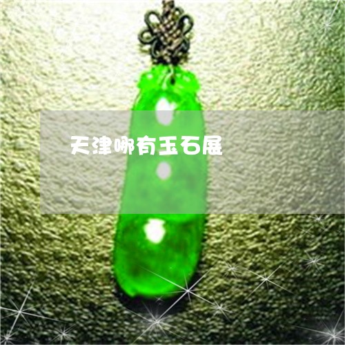 天津哪有玉石展/2023040411915