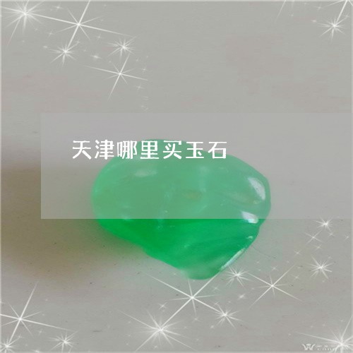 天津哪里买玉石/2023040419483 天津哪里买玉石/2023040419483