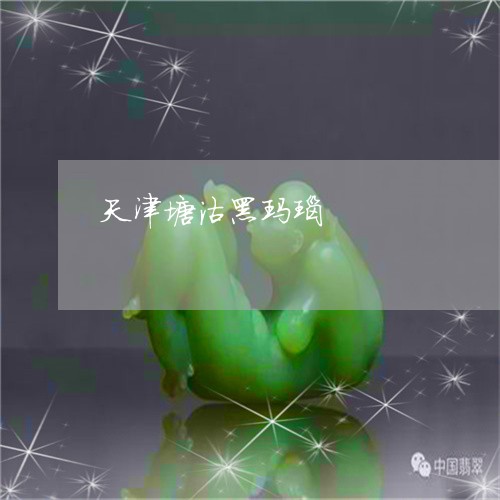 天津塘沽黑玛瑙/2023040437350