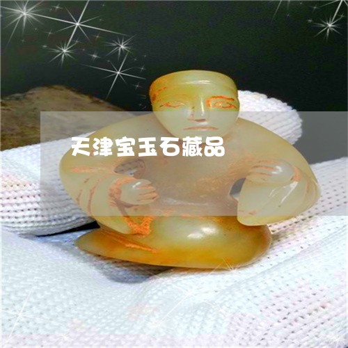 天津宝玉石藏品/2023040443805 天津宝玉石藏品/2023040443805