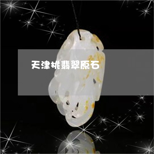 天津挑翡翠原石/2023040406947
