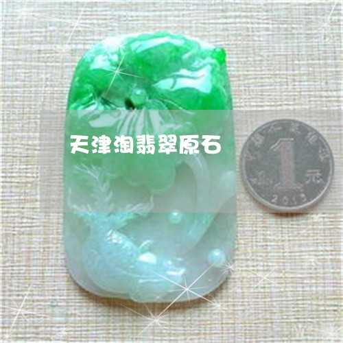 天津淘翡翠原石/2023040428168