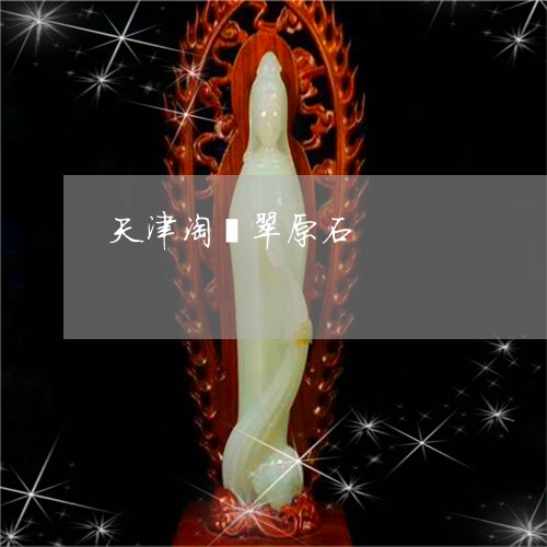 天津淘翡翠原石/2023040428259
