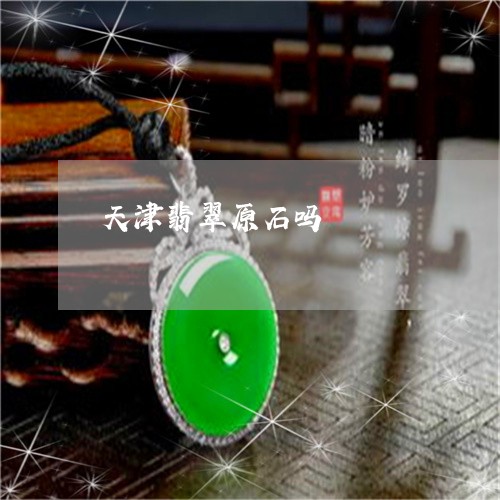 天津翡翠原石吗/2023040462403 天津翡翠原石吗/2023040462403