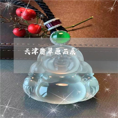 天津翡翠原石展/2023040416248 天津翡翠原石展/2023040416248