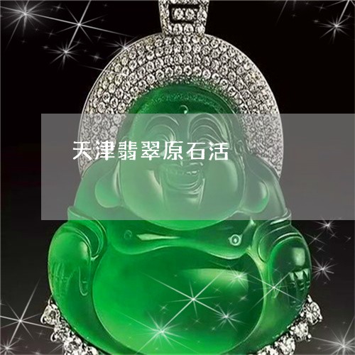 天津翡翠原石活/2023040461492 天津翡翠原石活/2023040461492