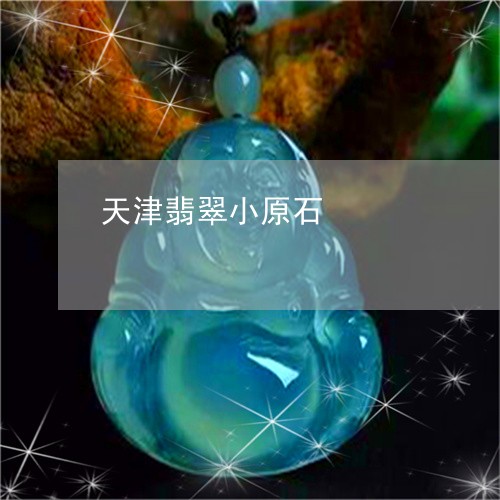 天津翡翠小原石/2023040471713