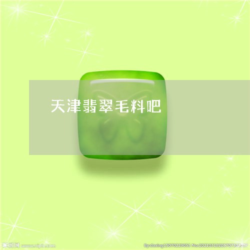 天津翡翠毛料吧/2023040406038