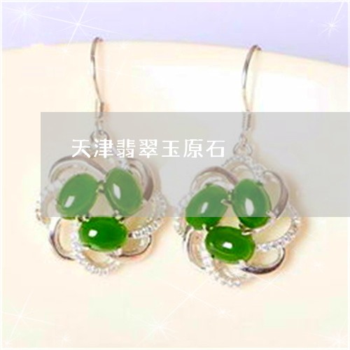天津翡翠玉原石/2023040417393