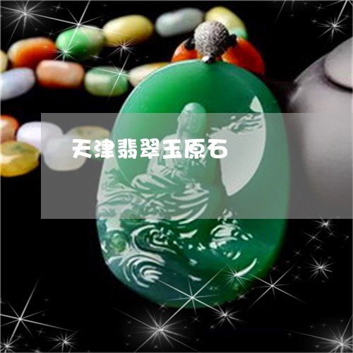 天津翡翠玉原石/2023040472626