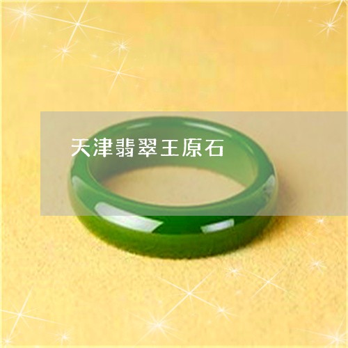 天津翡翠王原石/2023040419582