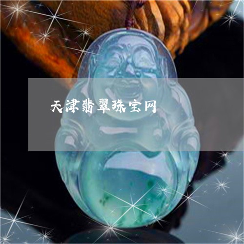 天津翡翠珠宝网/2023040416138