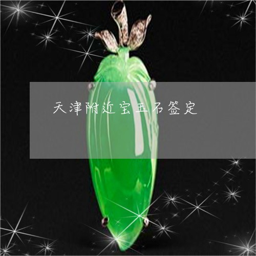 天津附近宝玉石签定/2023042235148