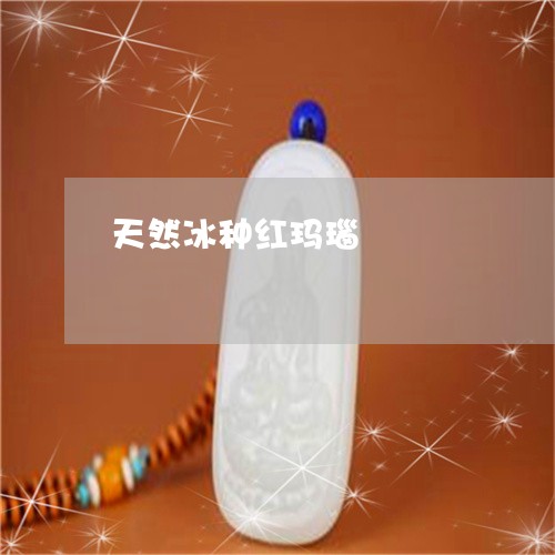 天然冰种红玛瑙/2023040428359 天然冰种红玛瑙/2023040428359