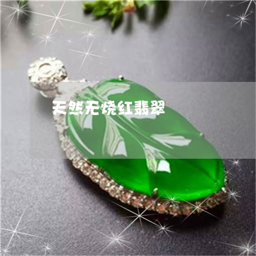 天然无烧红翡翠/2023040427139 天然无烧红翡翠/2023040427139