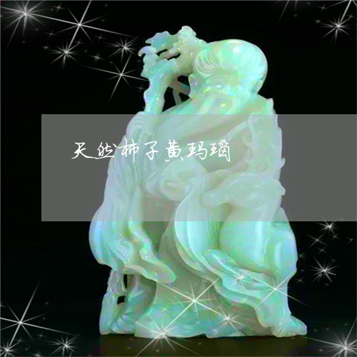 天然柿子黄玛瑙/2023040482795