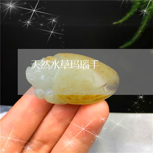 天然水草玛瑙手/2023040425168 天然水草玛瑙手/2023040425168